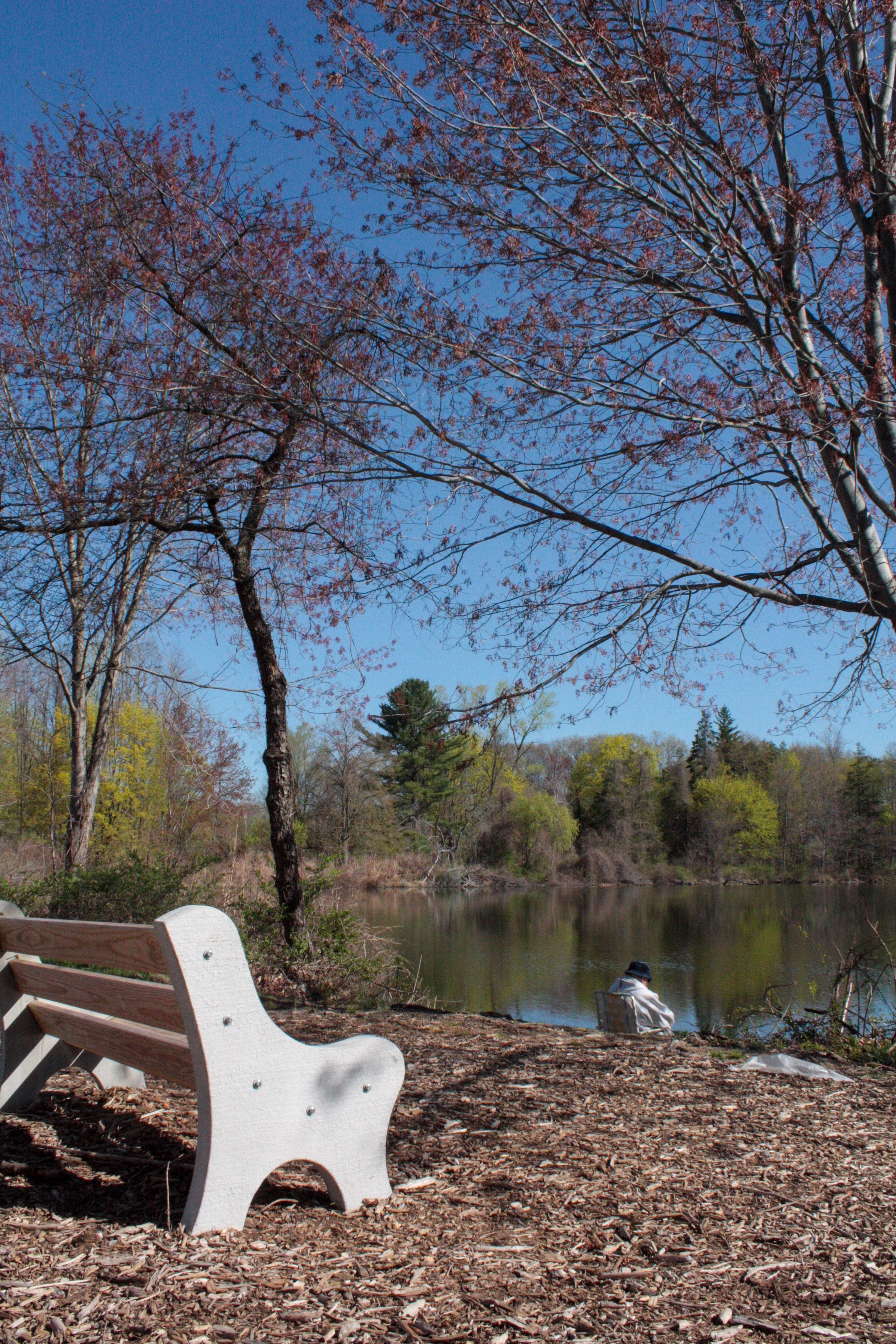 Bench at Black River Park