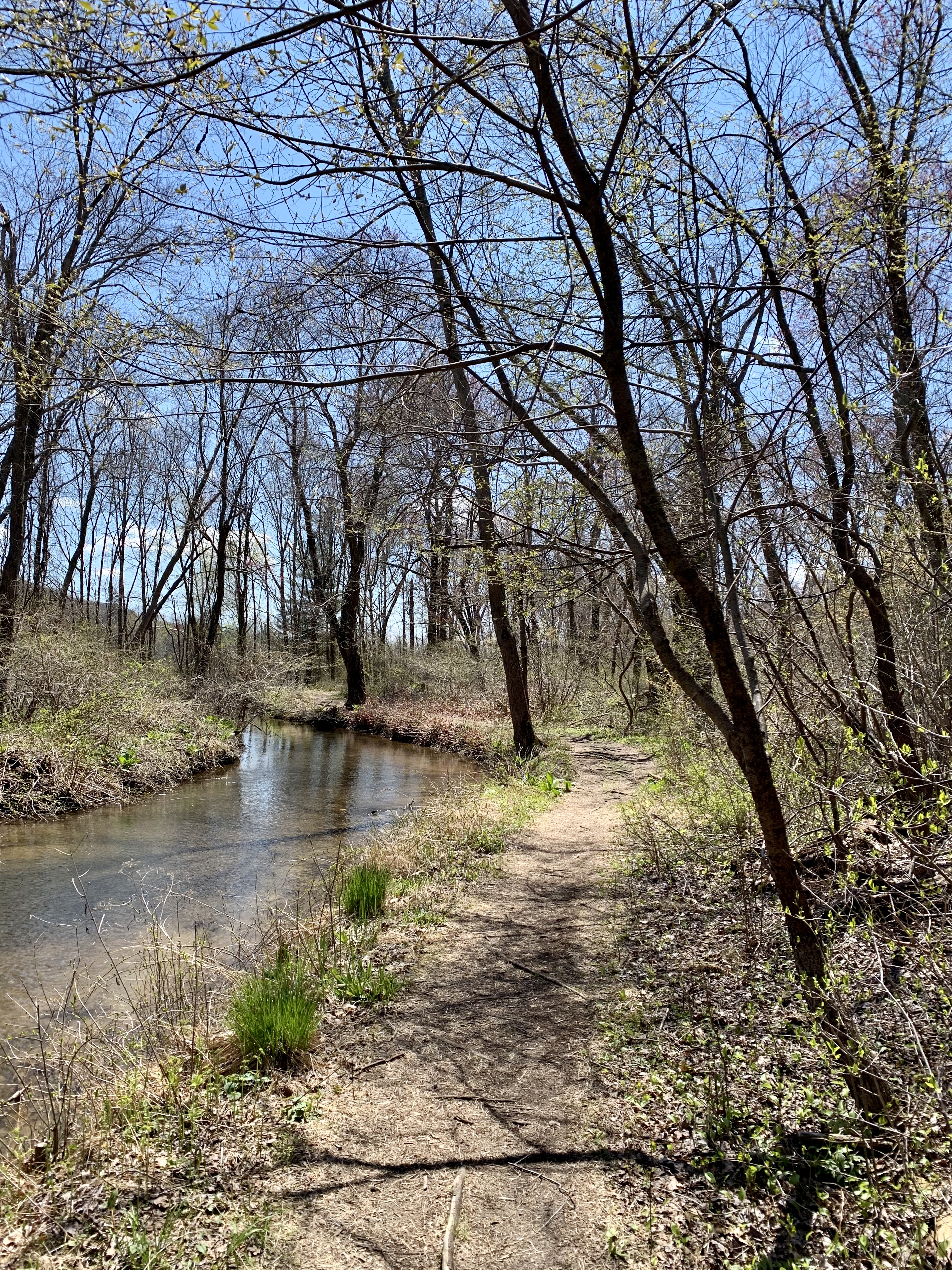Black River trail and stream
