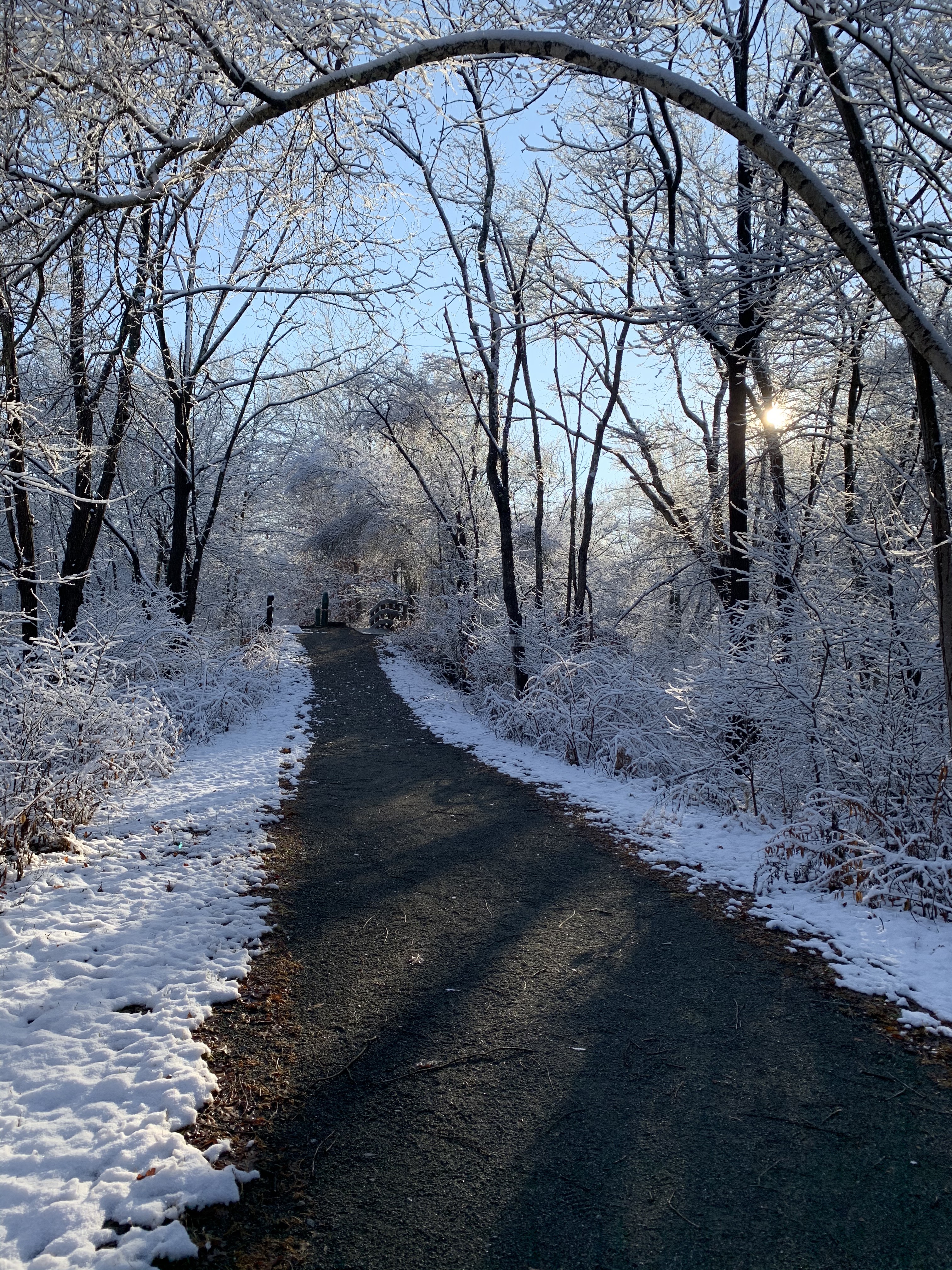 Winter view of West Morris Greenway trail