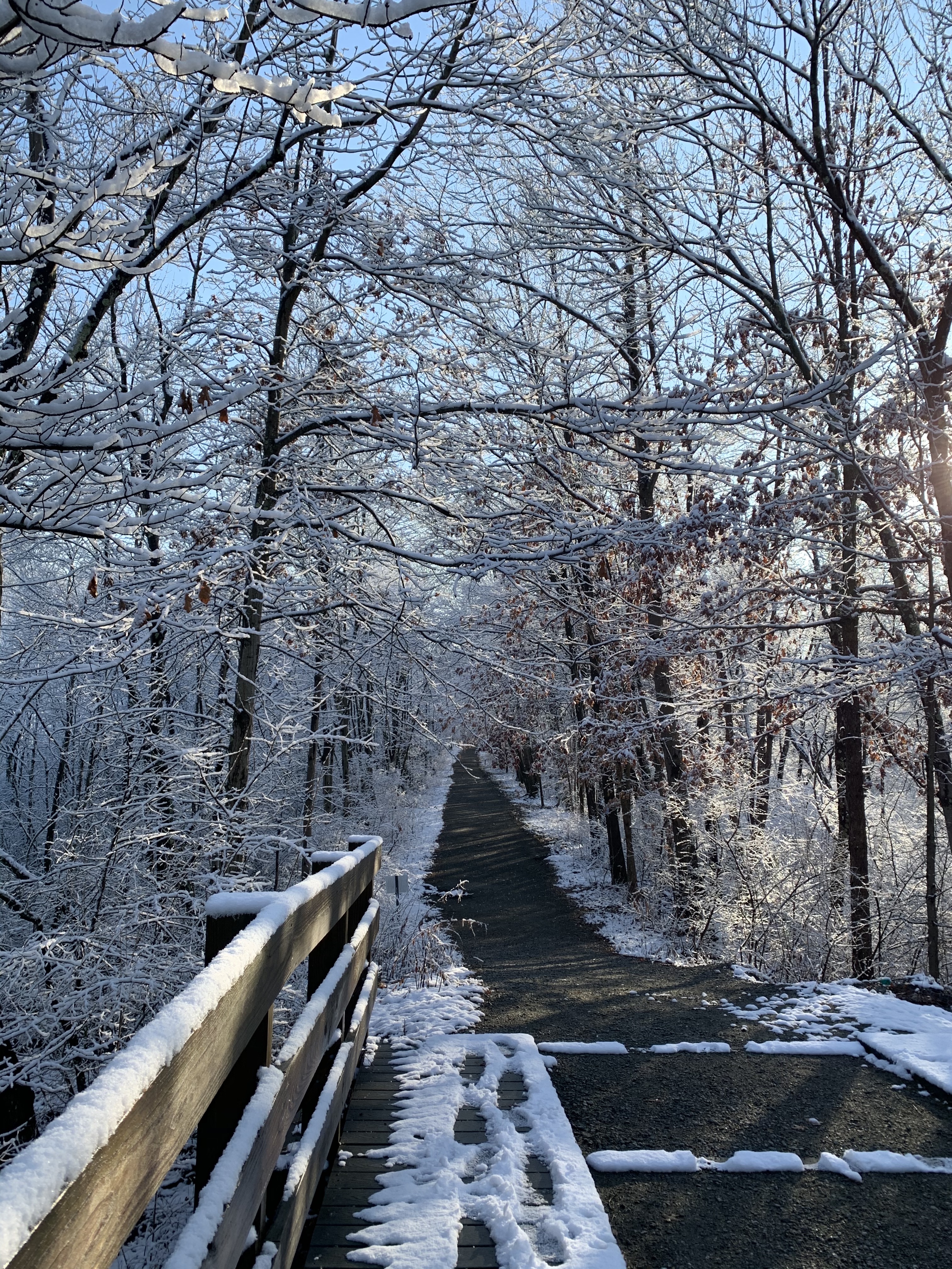 Winter view of West Morris Greenway trail