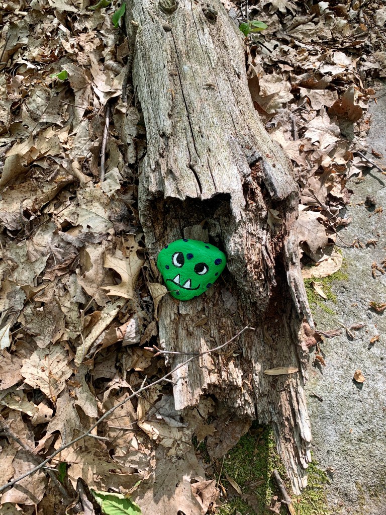 Veteran Park's red trail, painted monster rock