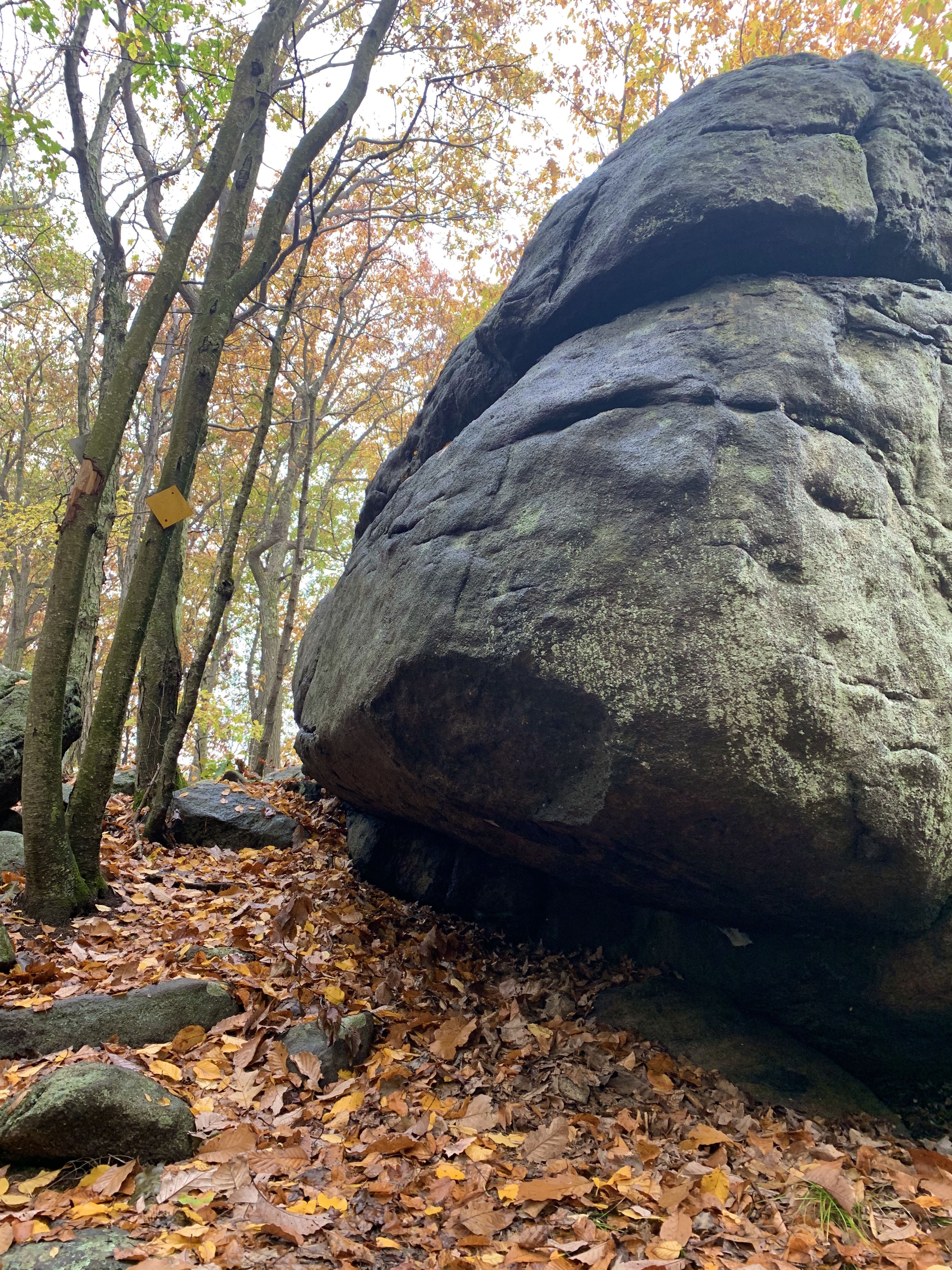 Boulder alongside Ledgewood yellow trail