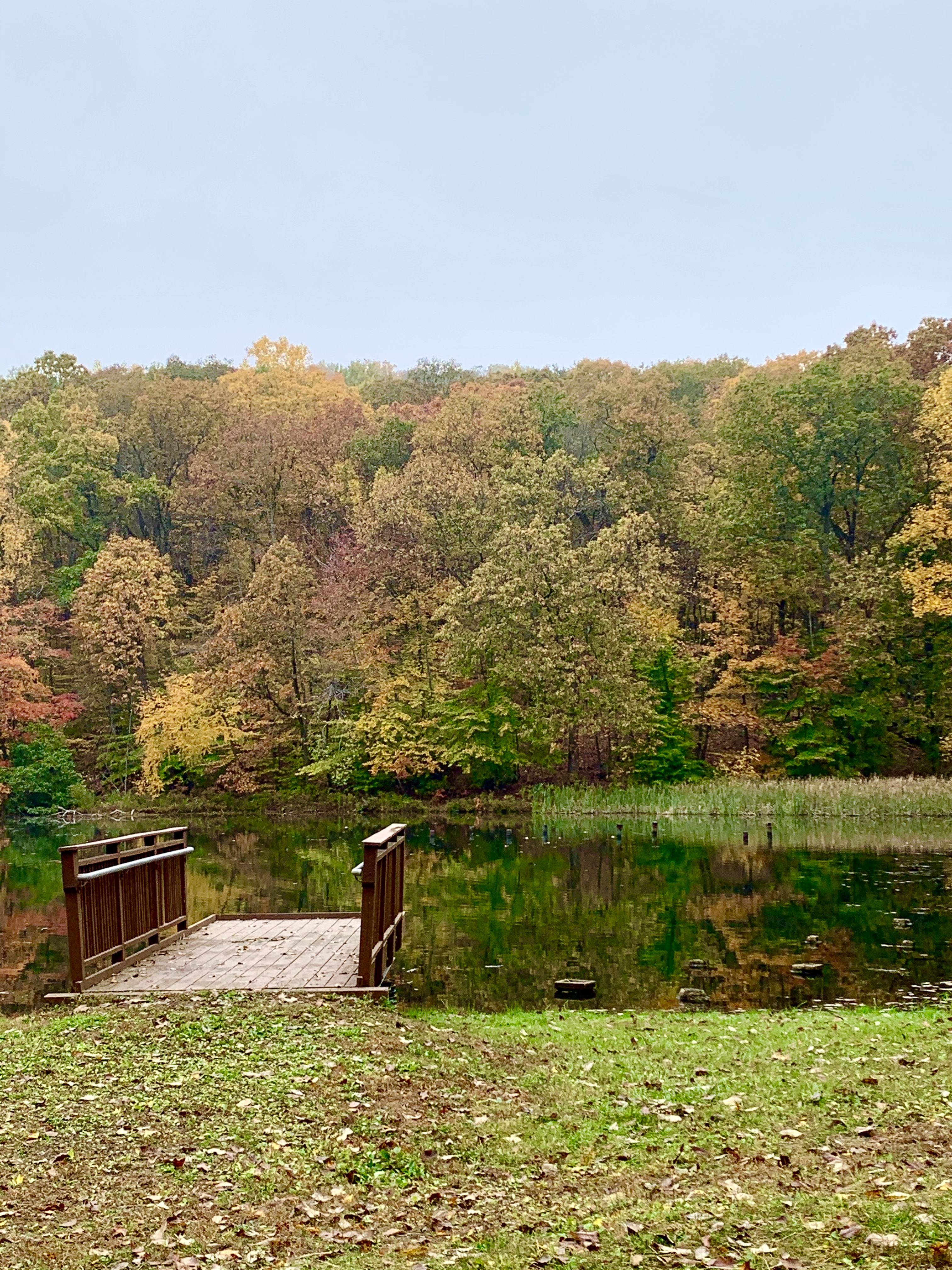 ADA fishing dock at Ledgewood Park