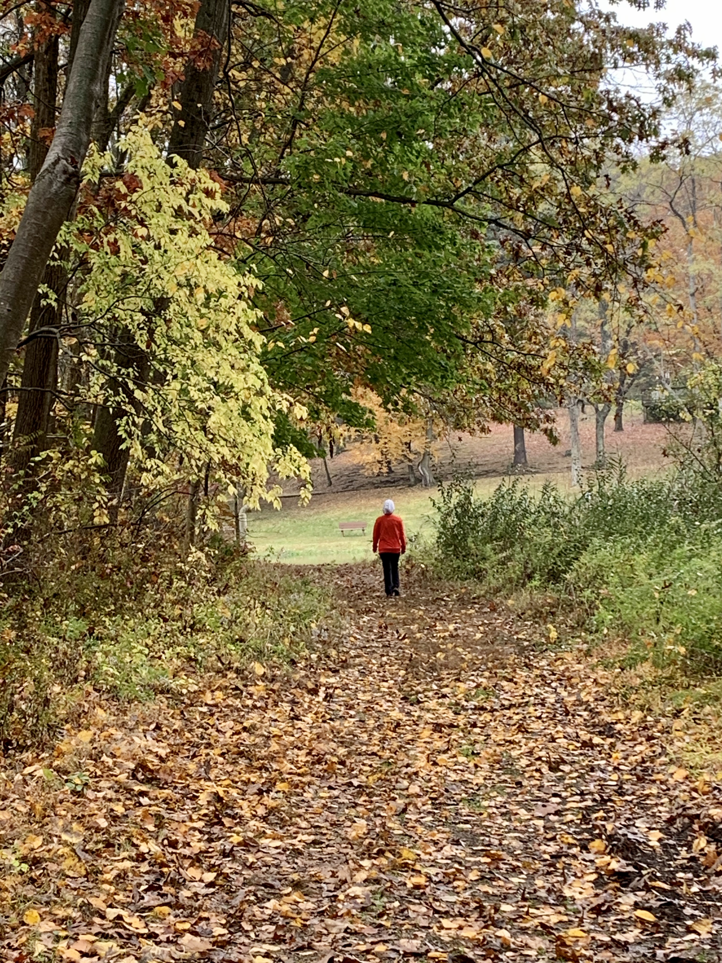 Walker at Ledgewood trail