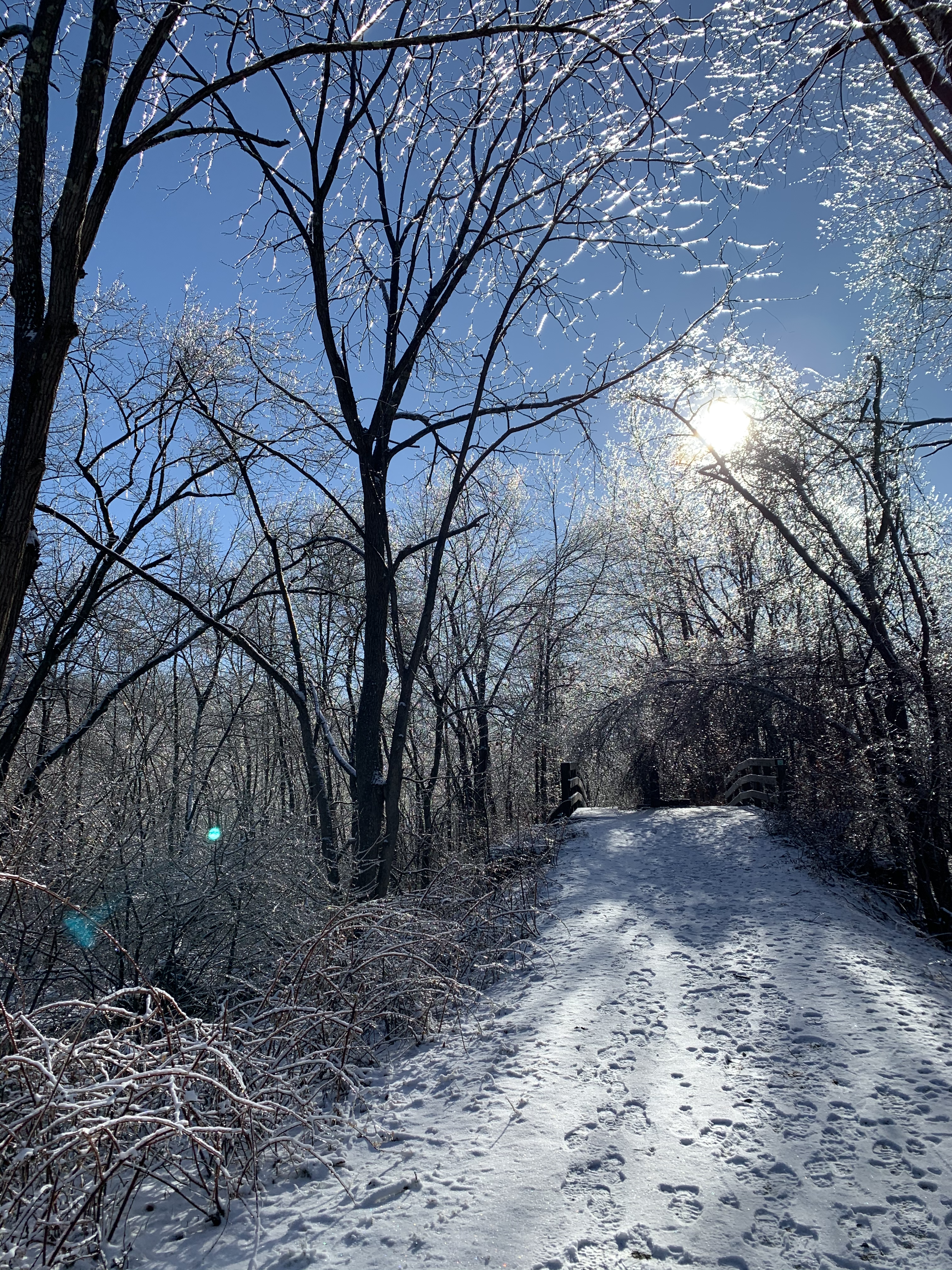 Winter trail image of West Morris Greenway